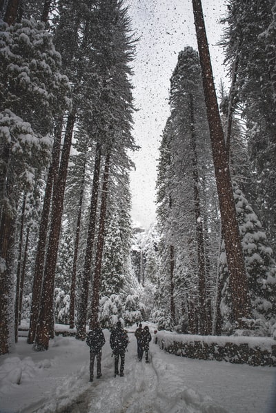 人们在雪天行走